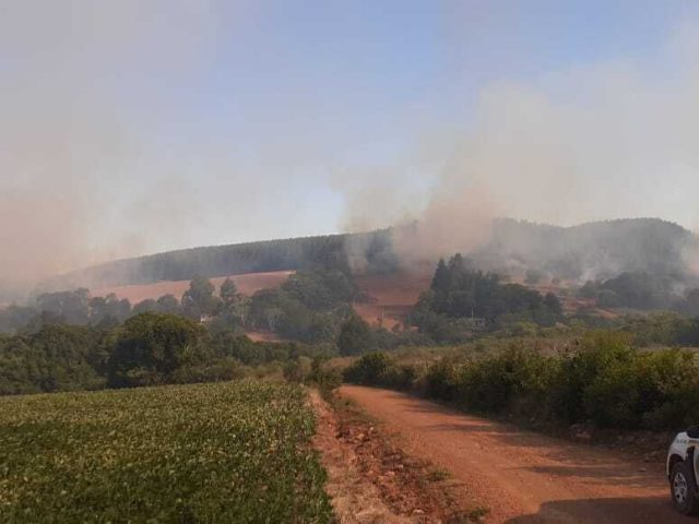 Incêndio em mata de pinus atinge comunidades de Dona Elíbia, Posse Godoy e Pedreira em Mormaço